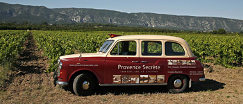 agence immobilière Provence Secrète