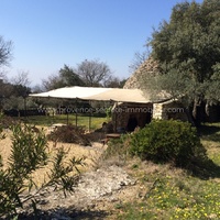 Luberon, borie for rent with pool in the garrigue and olive trees