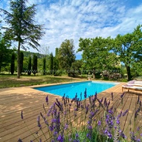 Old chapel in Provence, for 6 people with swimming pool 