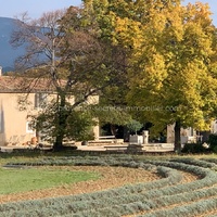 For rent farmhouse with outbuildings and heated swimming pool in Luberon