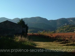  farmhouse to restore in Provence