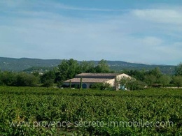  vineyard for sale Provence