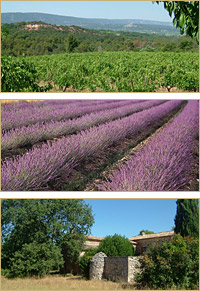 Luberon