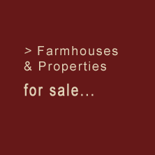 Provencal farmhouses & properties for sale...