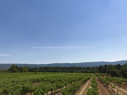  rental in the vineyards