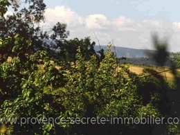  mas and vineyards for sale Luberon