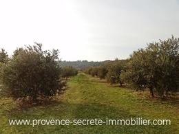  land Luberon for sale