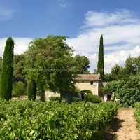 In Provence, beautiful farmhouse to rent with view on the Luberon 