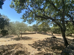  For rent stone sheepfold in Gordes