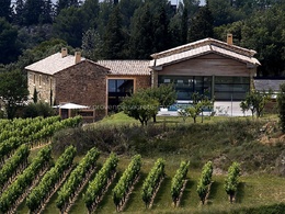  vineyard