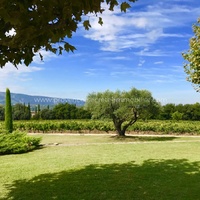Superb house with 6 air-conditioned bedrooms in the heart of vineyards