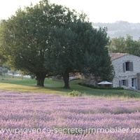 Prestigious Farmhouse in Provence for 8 people, quiet and pool