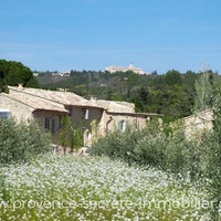 Beautiful house for rent near Gordes with heated pool