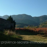 For sale mas to restore in the Luberon in vineyards and with view