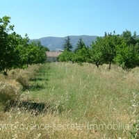 Luberon, Oppède the old building land with view for sale