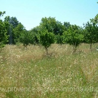 Luberon, Oppède the old building land with view for sale