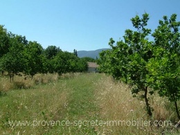  Provence land for sale