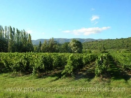 vineyard for sale Luberon