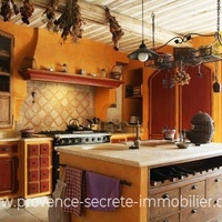 Villa in stones with view on the Alpilles and Luberon hill for sale