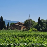 Luberon, Bastide for sale with spring and basin, plus vines