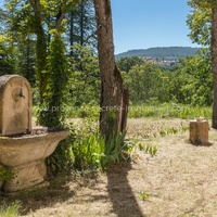 Luberon south bastide to restore for sale with park plane trees